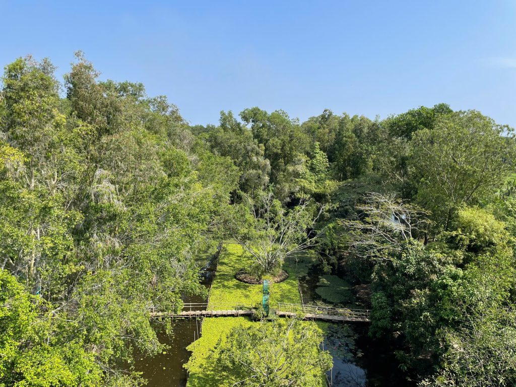 Nature in the Mekong Delta